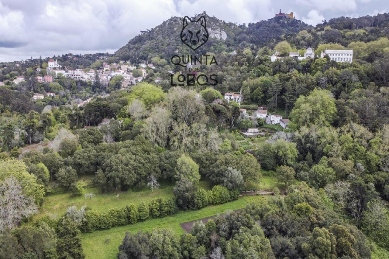 Quinta Dos Lobos Boutique - Nature Experience