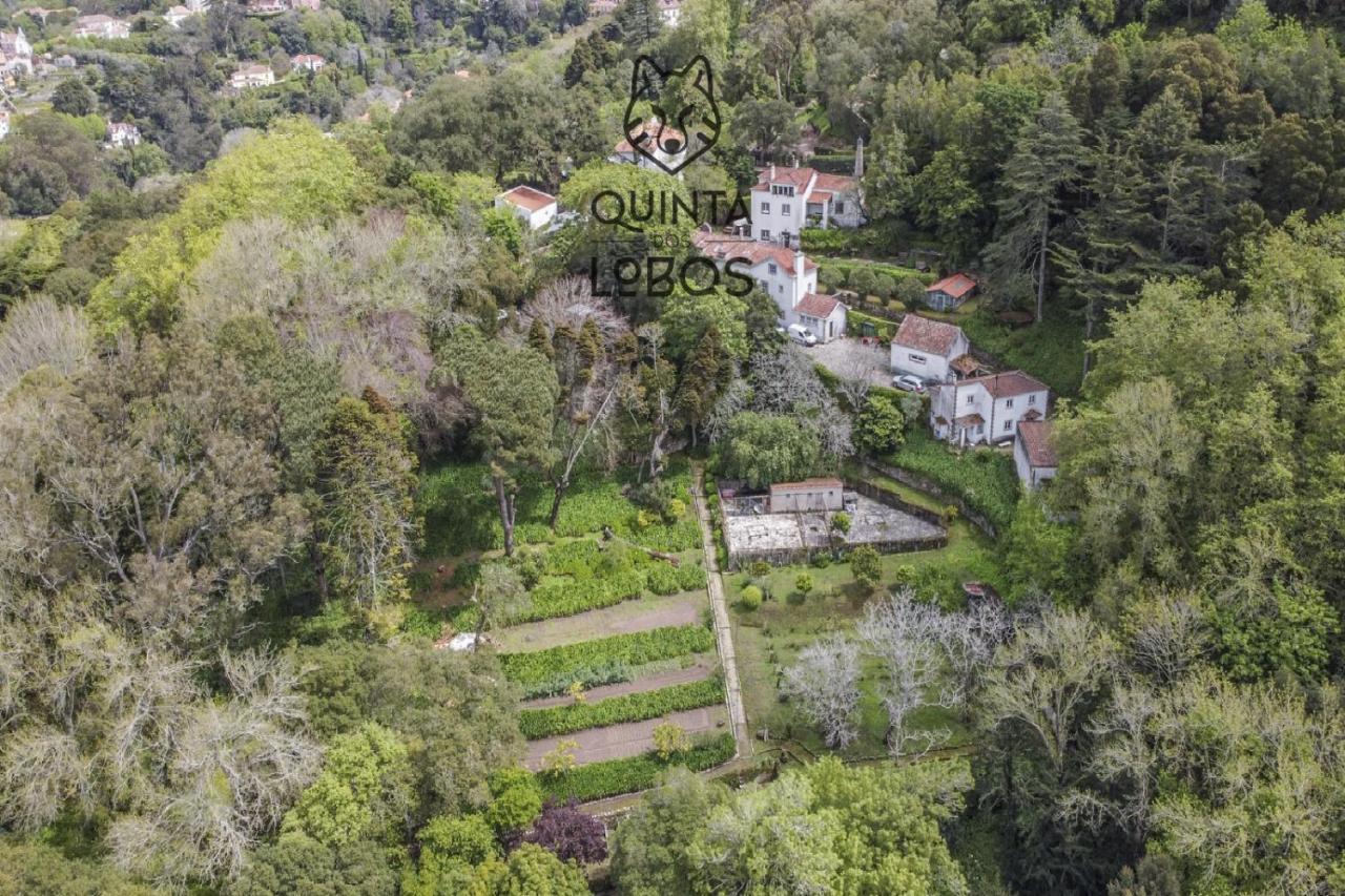 Hotel Quinta Dos Lobos Boutique - Nature Experience Sintra